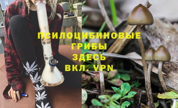 бошки Алзамай