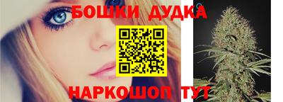 PSILOCYBIN Сланцы