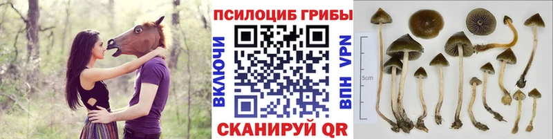 Галлюциногенные грибы ЛСД  Тольятти 