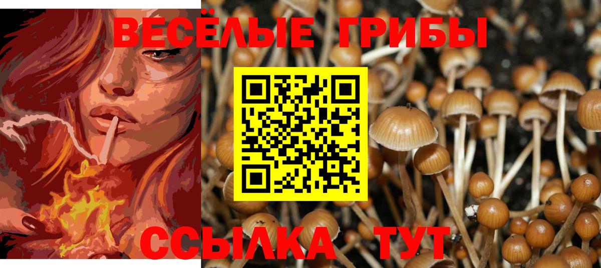 Псилоцибиновые грибы Magic Shrooms  Вход с VPN  Тольятти  Псилоцибиновые грибы Psilocybine cubensis 