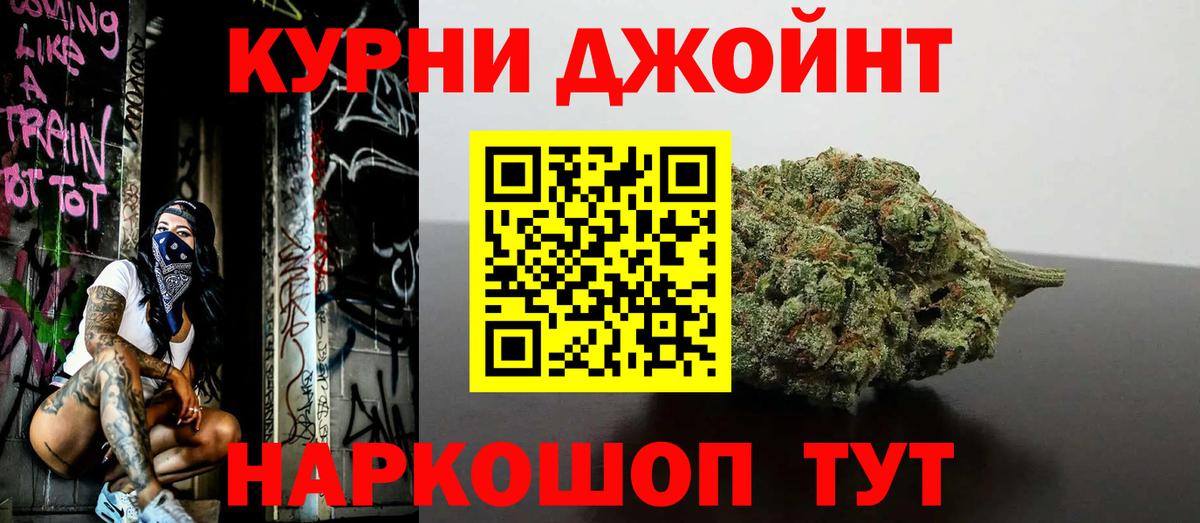 Бошки Шишки планчик Тольятти
